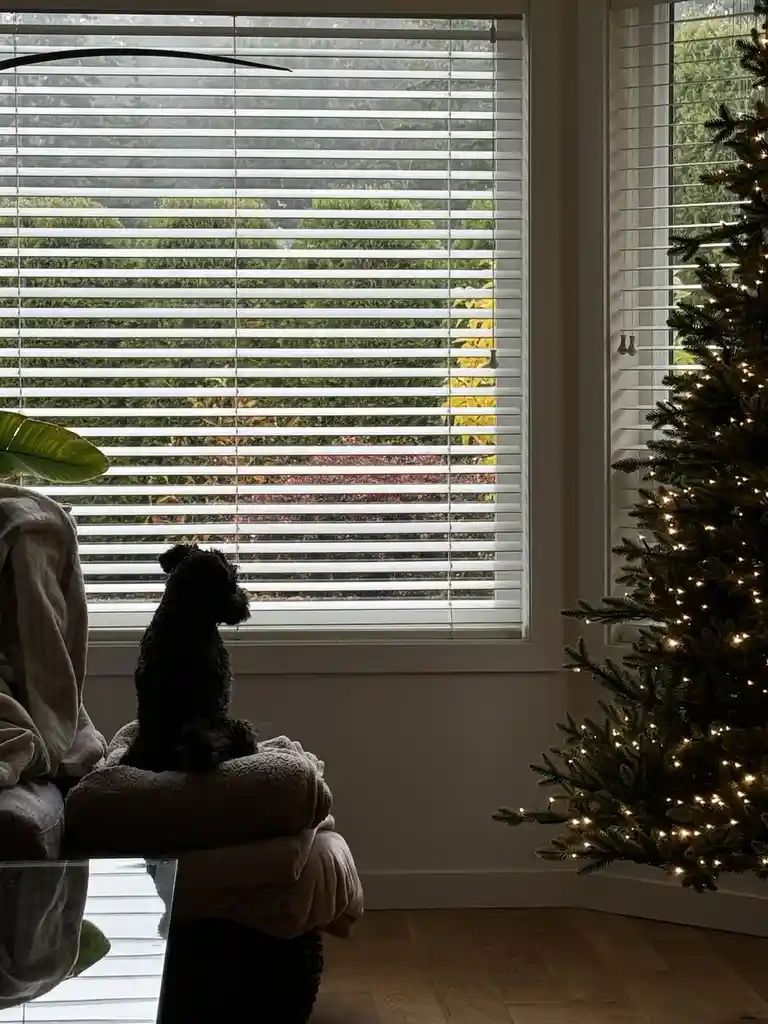 A small black dog sits in silhouette on a pile of blankets, looking out a window with horizontal blinds. To the right, a lit…