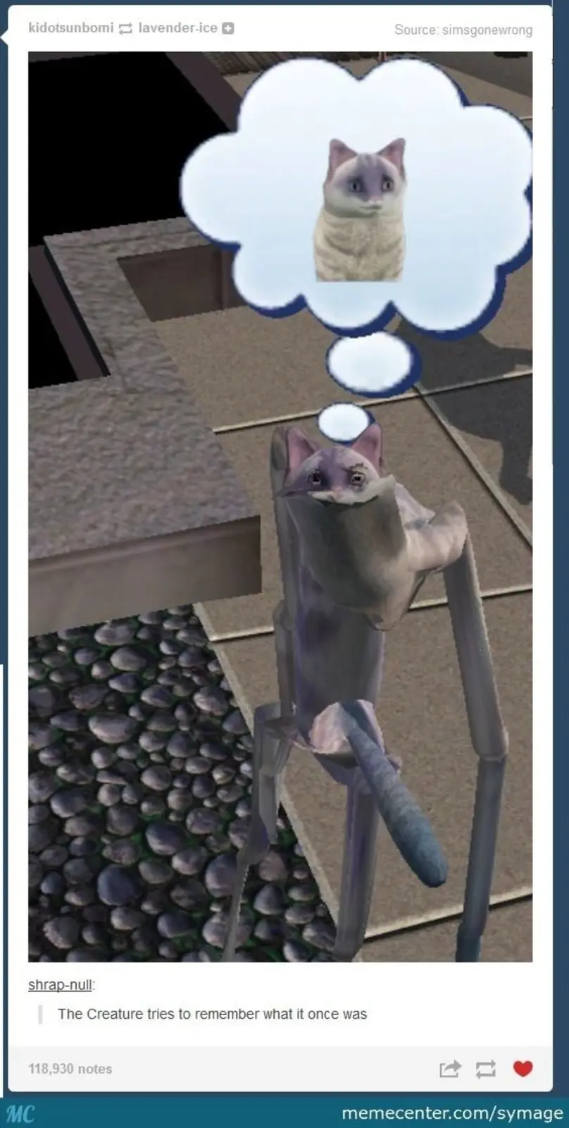 A digitally rendered, deformed cat-like creature with a distorted body and limbs stands on a tiled and cobblestone surface…
