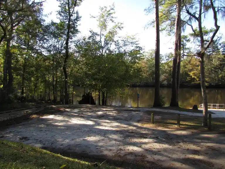 Exploring the Serene Beauty of the Edisto River