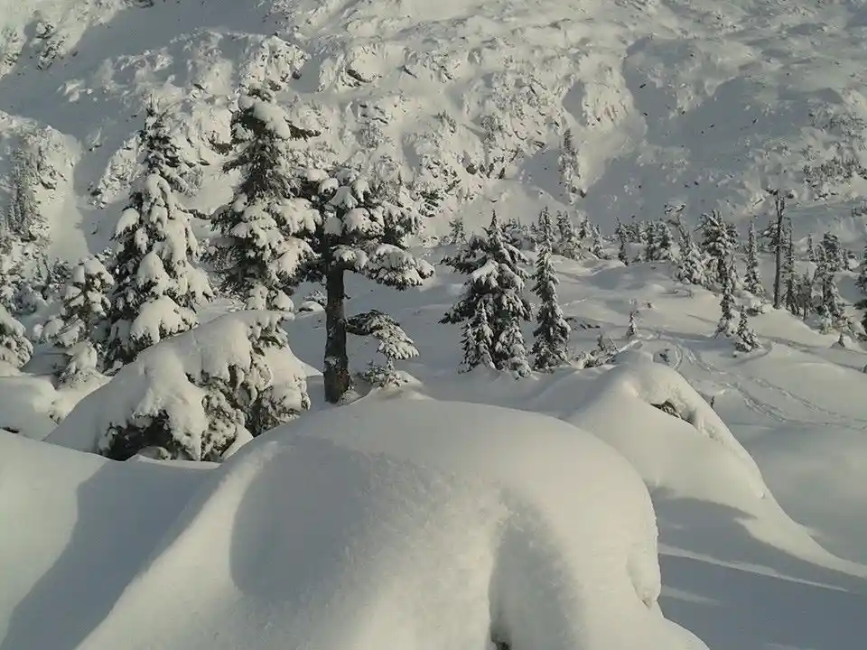 A snowy mountain landscape with evergreen trees heavily covered in snow, and deep snowdrifts in the foreground. The overlaid…