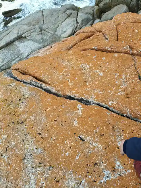 Exploring the Stunning Bay Of Fires in Tasmania