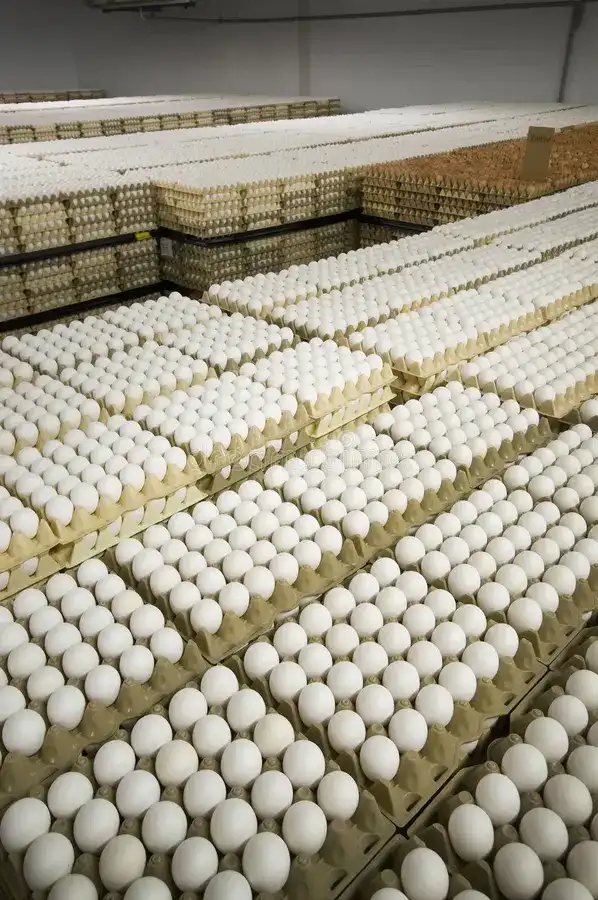 Rows of white eggs in cardboard cartons fill a warehouse, creating a vast, repetitive pattern. Overlaid text reads 'i'm not…