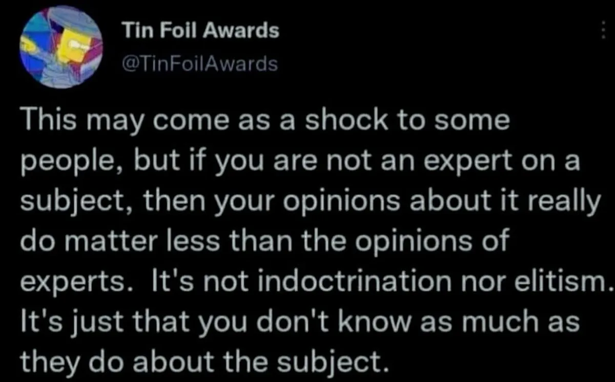 A screenshot of a tweet from the account 'Tin Foil Awards' with a colorful abstract profile picture. The tweet text explains…
