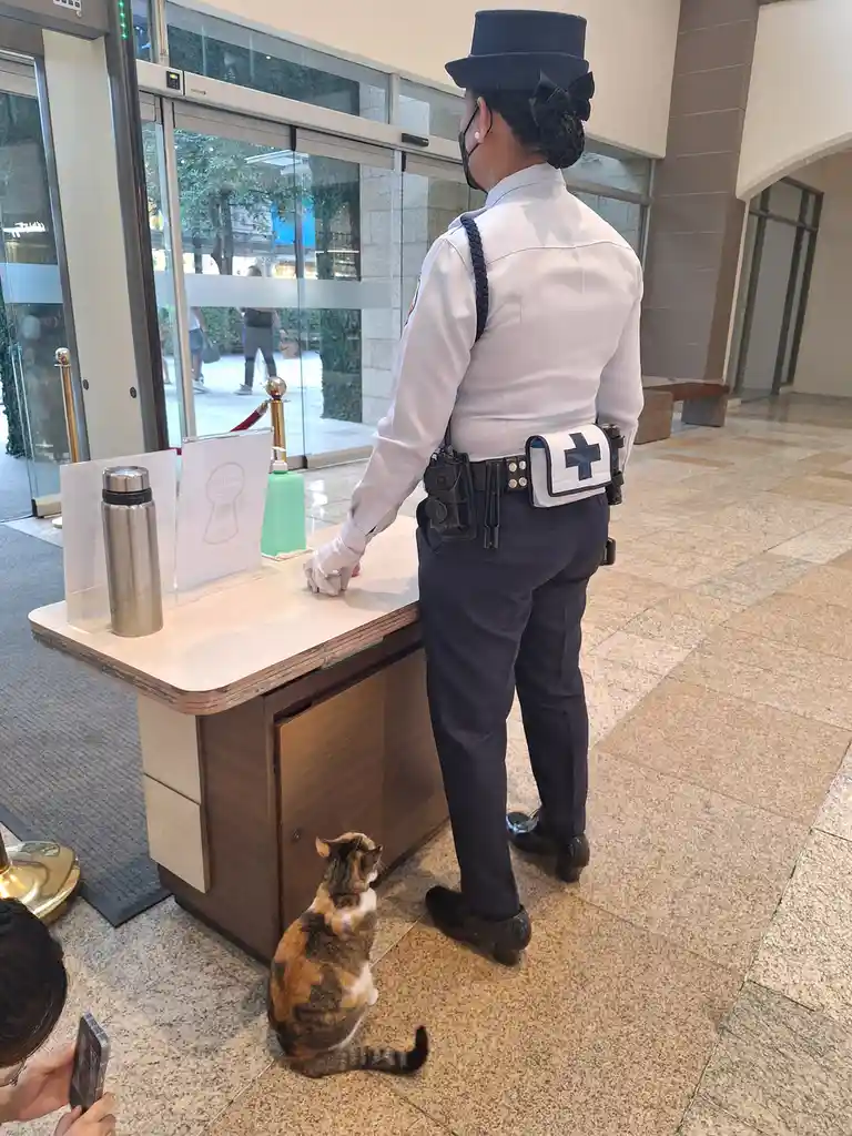 A security guard in a white shirt, dark pants, and top hat stands at a reception desk, facing away from the camera. A calico…