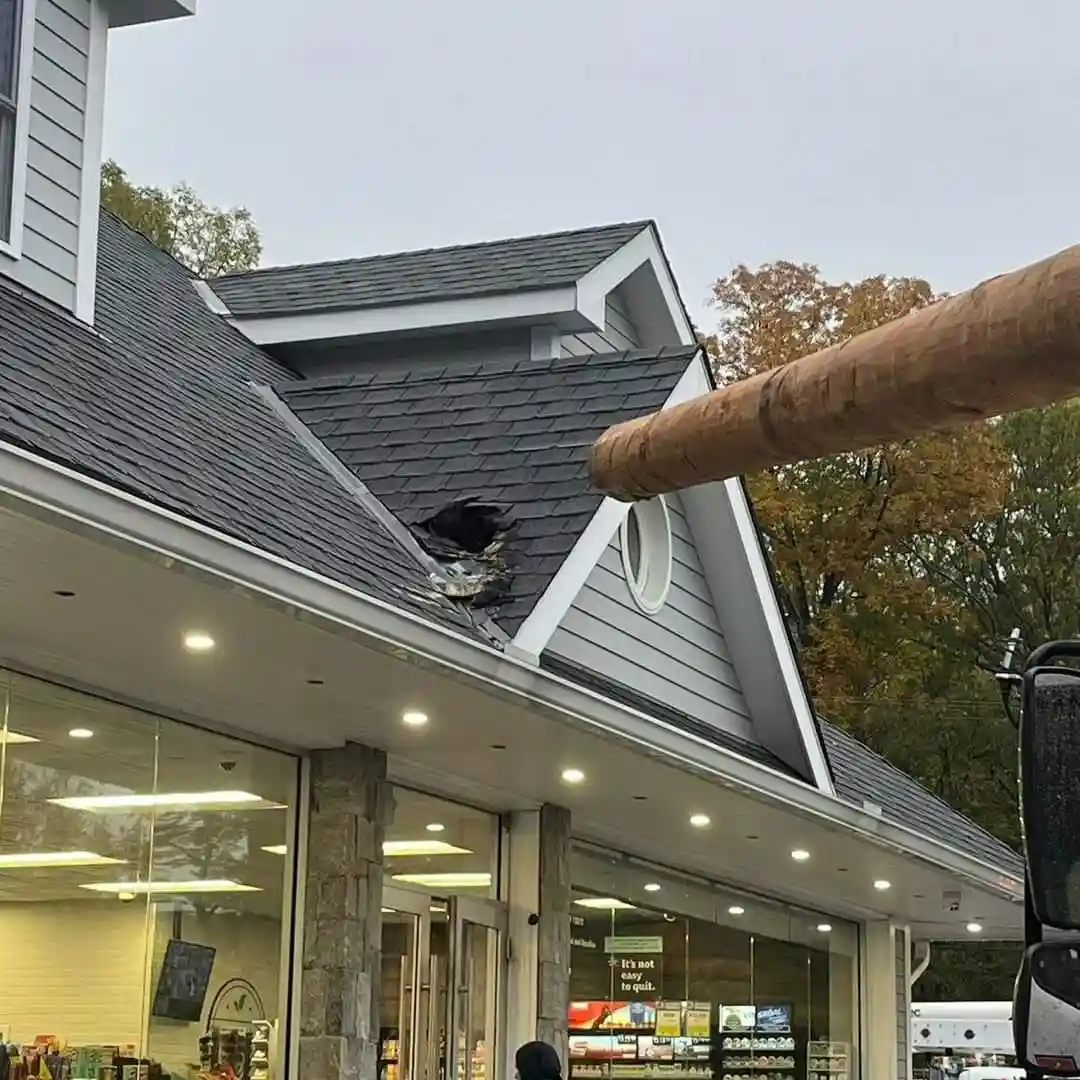 A large tree trunk is shown crashing through the roof of a convenience store, creating a hole in the shingles. The store's…