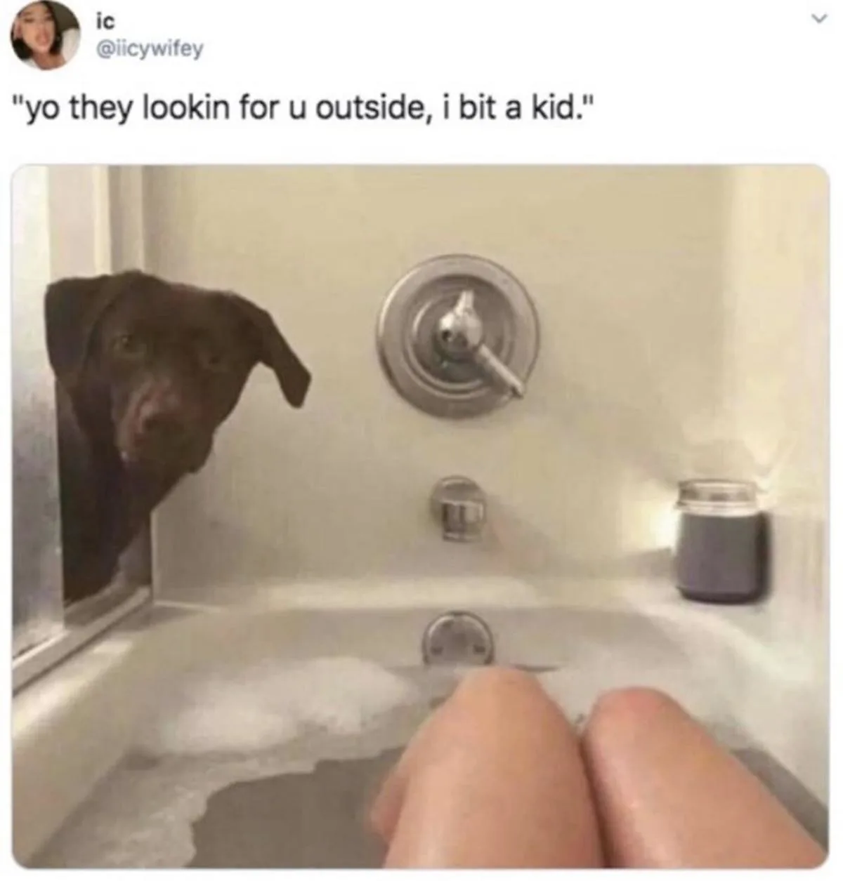 A dark brown dog peers anxiously from the edge of a bathtub filled with soapy water, looking toward the viewer whose legs…