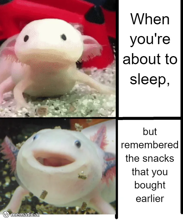 A two-panel meme featuring a white axolotl. In the top panel, the axolotl looks calm and sleepy. In the bottom panel, the…