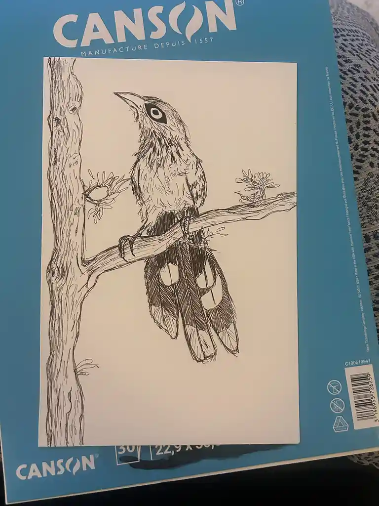 A black-and-white ink drawing of a bird perched on a tree branch is shown on a Canson brand sketchbook page. The bird has a…