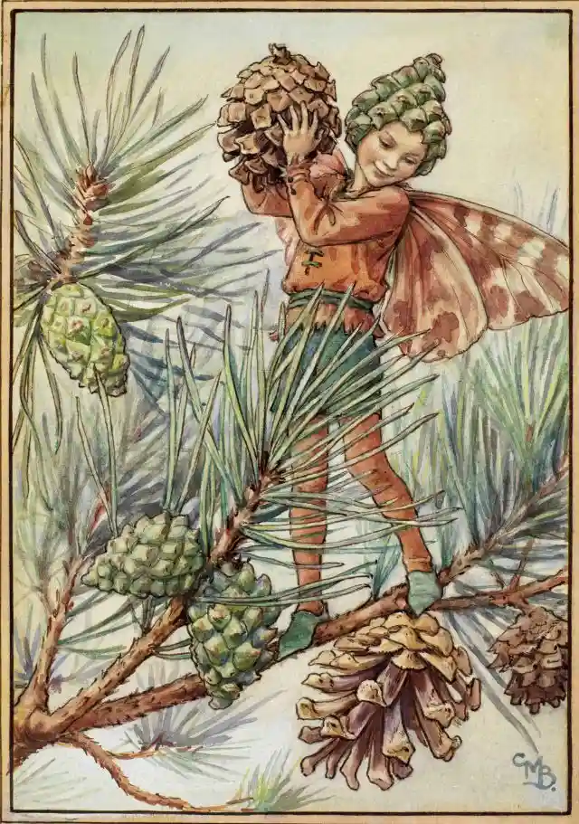 a vintage-style illustration shows a small fairy with butterfly wings, wearing a pinecone hat and holding a large pinecone…