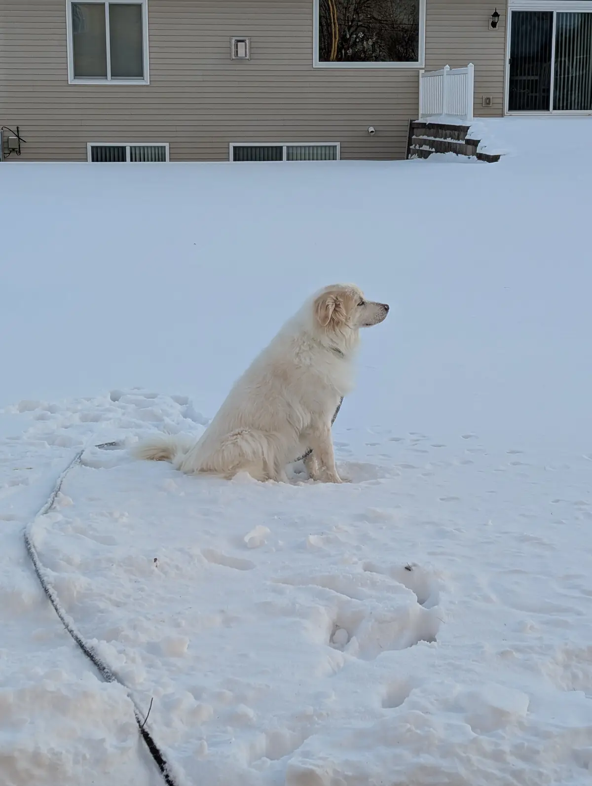 Your Daily Dose of Winter: Day 816