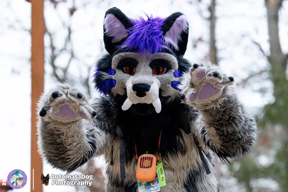 A Daily Snapshot from a Furry Photographer - Day 466