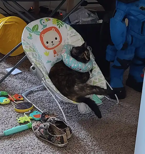 A tortoiseshell cat lounges in a baby bouncer chair with a patterned neck pillow, looking relaxed. The chair has a cartoon…