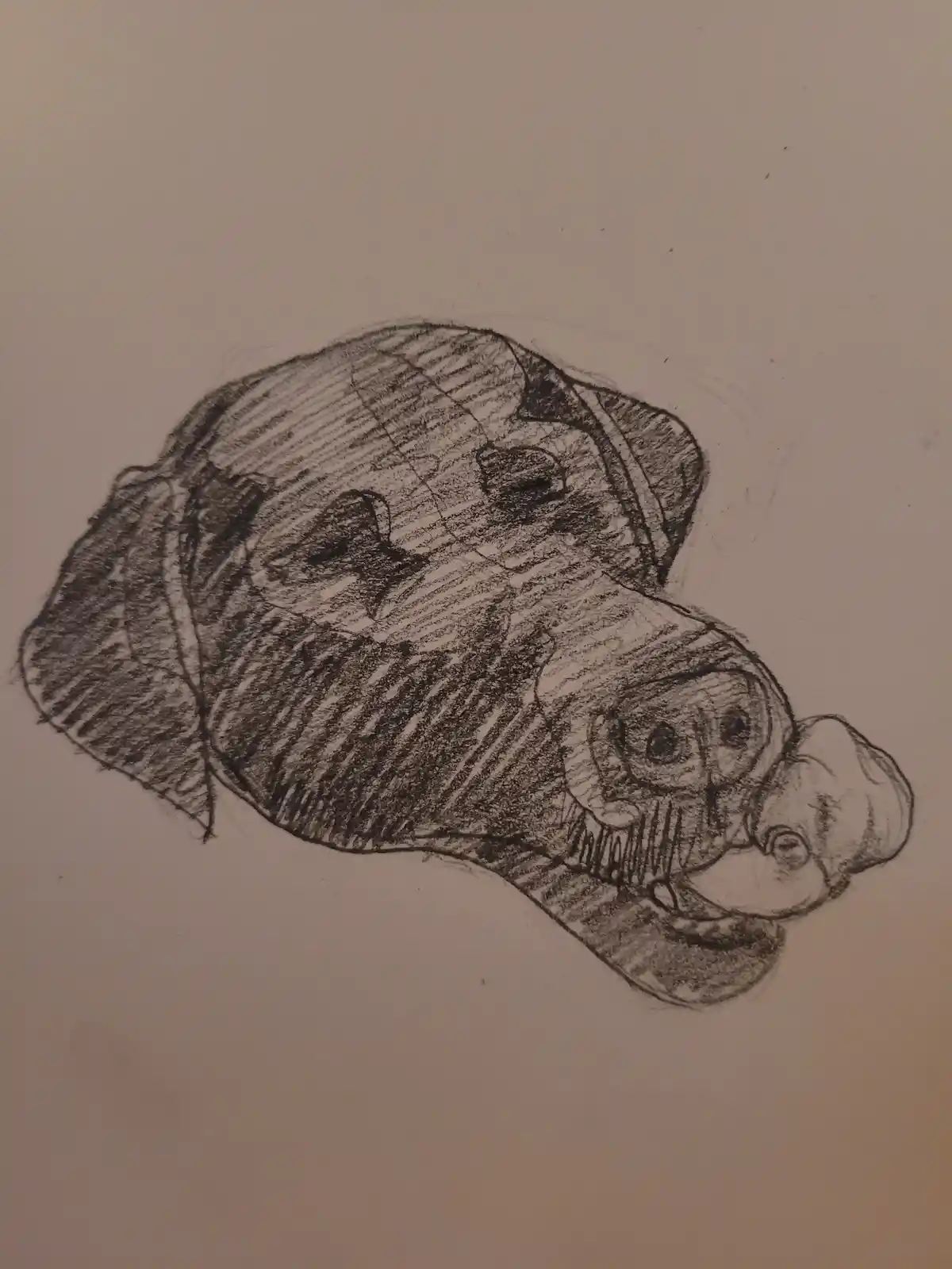 A hand-drawn pencil sketch on paper depicts a cartoonish, somewhat abstract dog-like creature with large eyes, floppy ears…