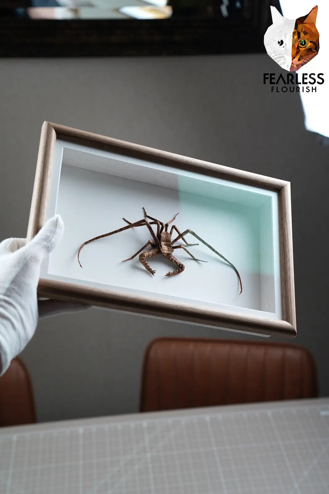 A hand in a white glove holds a wooden-framed shadow box displaying a large, brown, papercraft-style arachnid sculpture with…