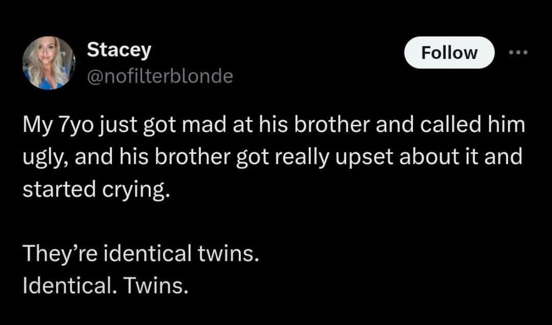 A screenshot of a Twitter post by user Stacey (@nofilterblonde) describing how her 7-year-old son called his identical twin…