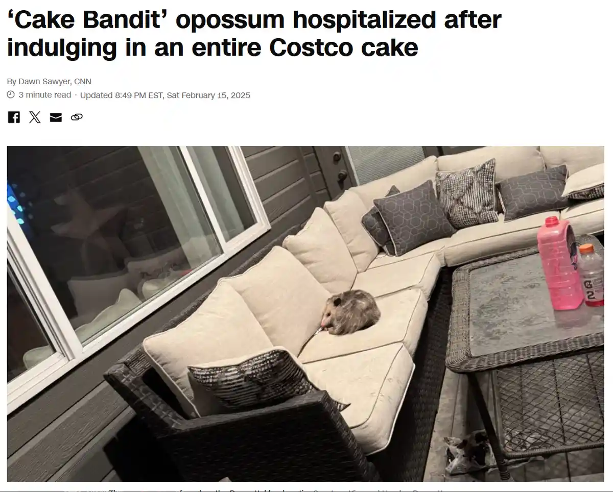 A small opossum is curled up on a beige outdoor sectional sofa, appearing to eat something. The image is framed as a fake…