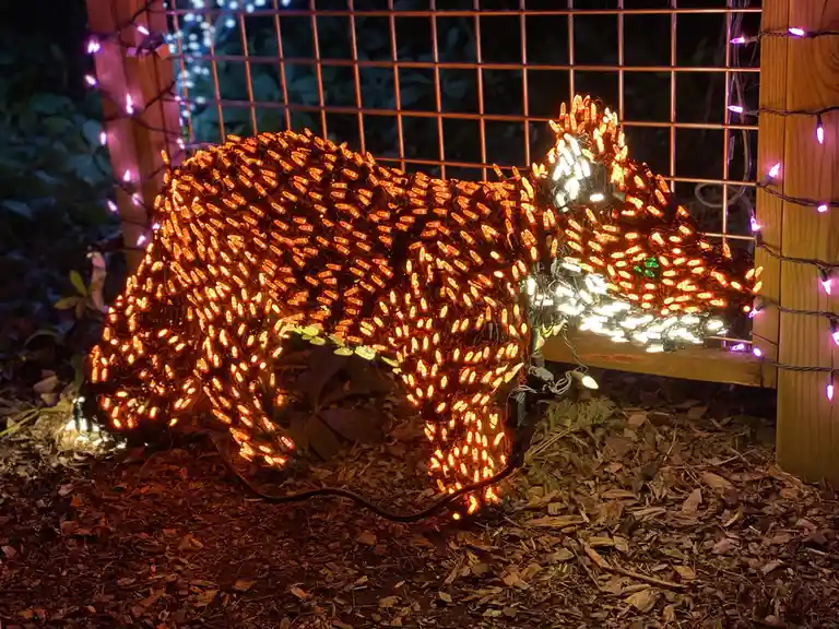 A large, illuminated sculpture of a fox made entirely of orange and white string lights stands on a bed of wood chips at…