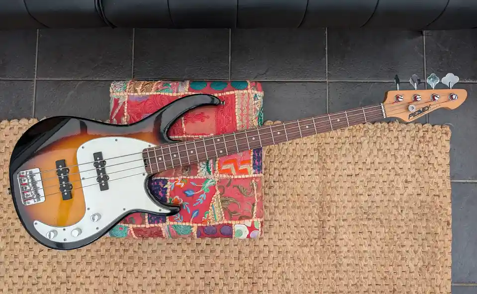 Peavey bass: the charm of secondhand treasures