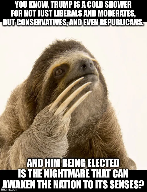 A close-up photograph of a sloth looking upward with a thoughtful, slightly confused expression, its clawed hand near its…