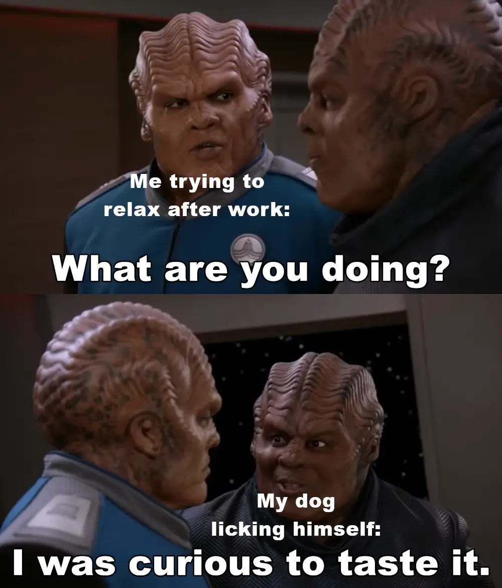 The image is a two-panel meme featuring two Klingon characters from Star Trek. In the top panel, one Klingon asks the other…