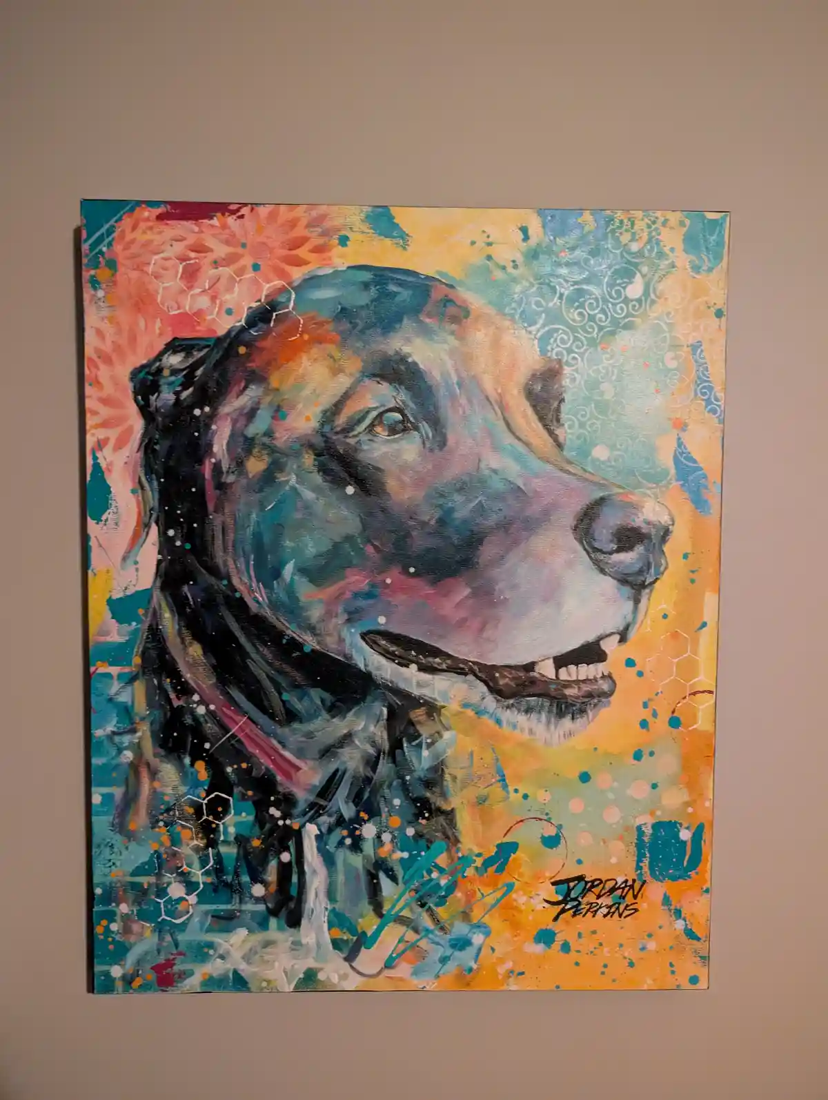 Meet Layla: The Star of the Show!