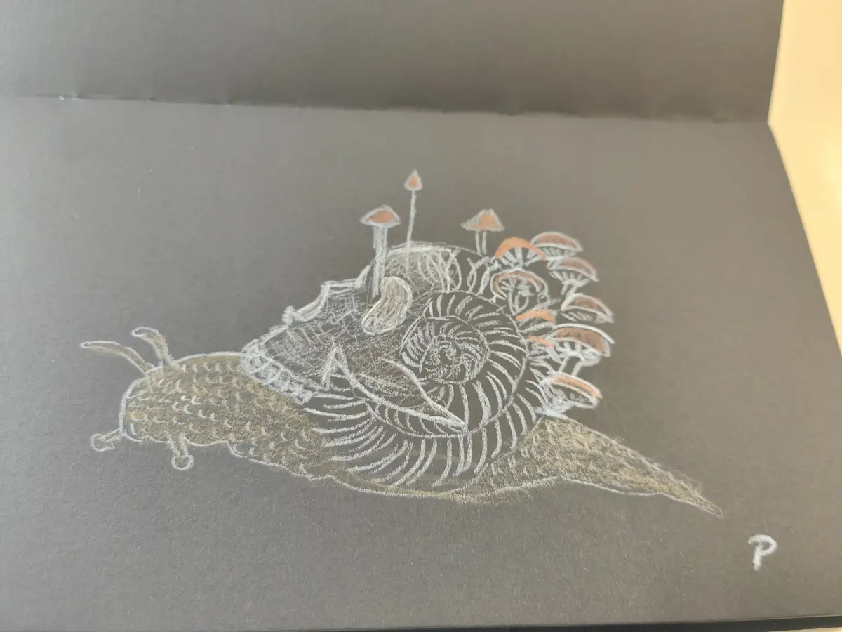 A chalk drawing on dark grey paper shows a snail with a detailed spiral shell, which is covered in small orange mushrooms…