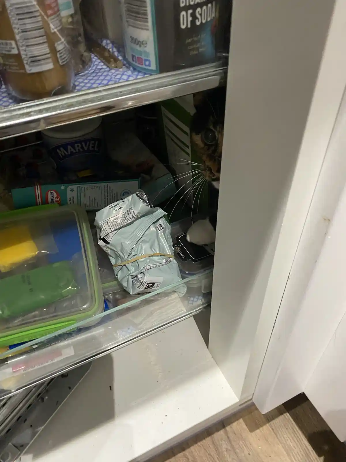 A tortoiseshell cat peeks out from behind pantry shelves, its face and one paw visible among food items like peanut butter…