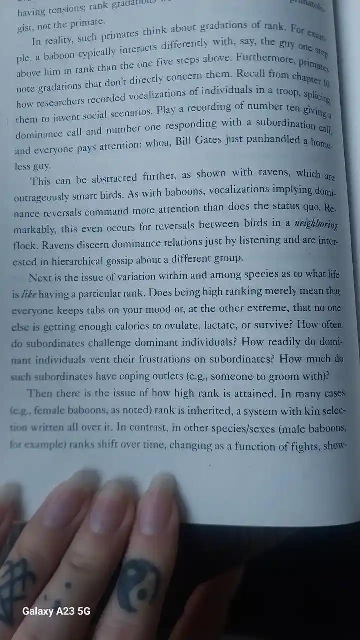 Insightful Daily Wisdom from Sapolsky's 'Behave'
