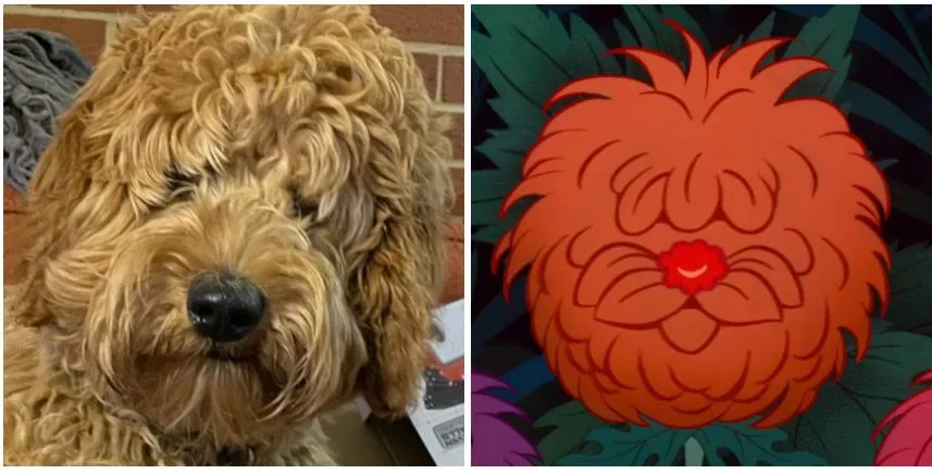 the image is a side-by-side comparison: on the left, a real, fluffy, light-brown dog with shaggy fur and closed eyes; on the…