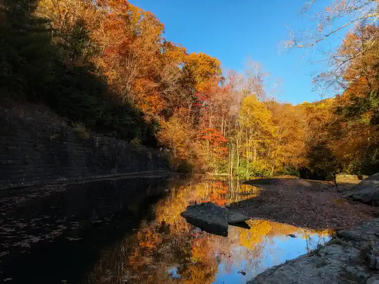 West Virginia Still Boasts Some Beautiful Colors