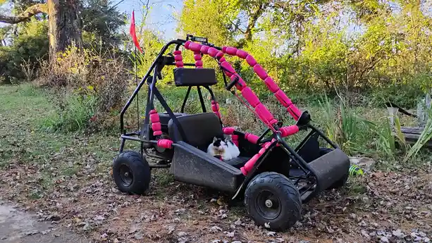 A black go-kart with bright pink foam padding on its frame is parked on a leafy grassy area with trees in the background. A…