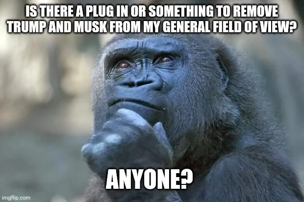 A close-up image of a gorilla with a thoughtful expression, its hand resting on its chin, looking upward. The overlaid text…