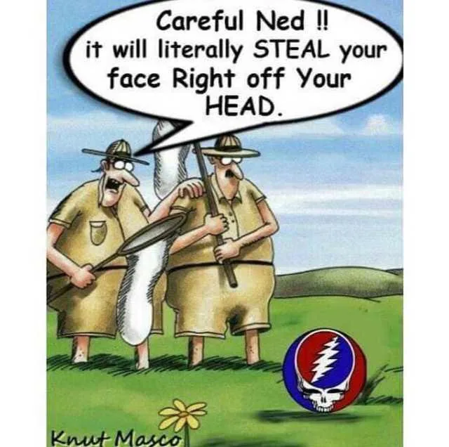 In Loving Memory of the Legendary Bassist Lesh Philling