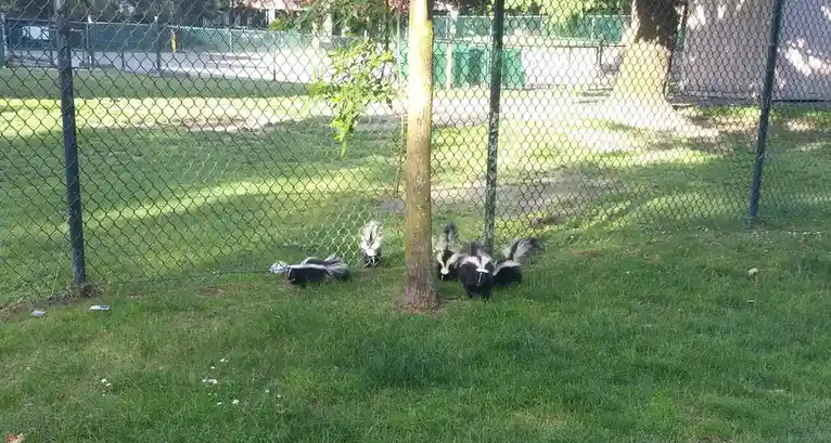 Only in Vancouver, B.C. - A Unique Experience!