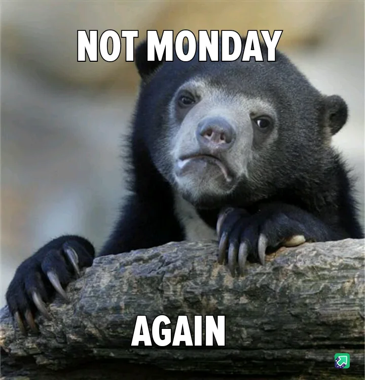 A close-up photo of a sad-looking spectacled bear resting its paws on a log, with the text 'NOT MONDAY' above its head and…