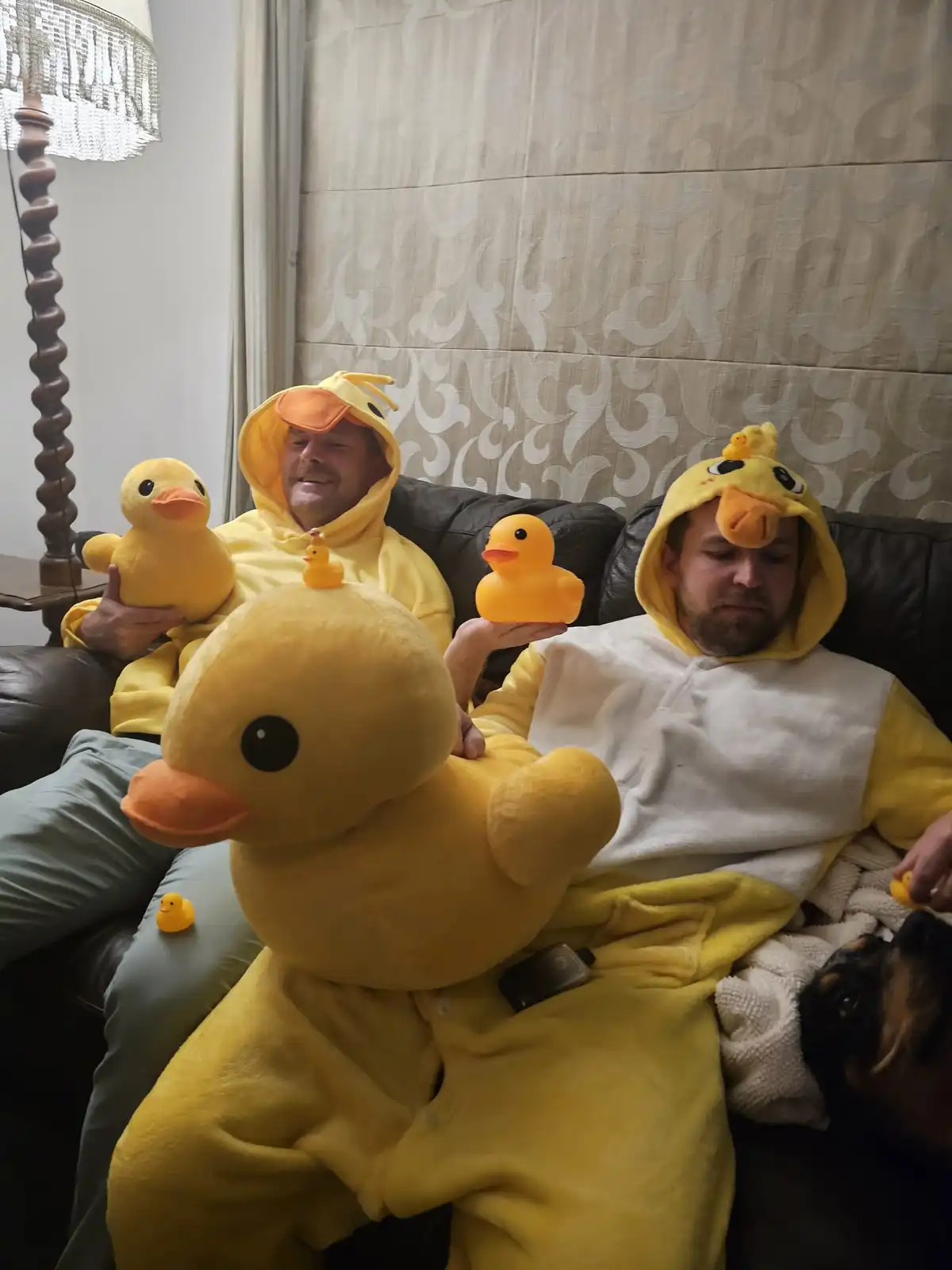 Two men in yellow duck onesies sit on a couch surrounded by various duck plushies and rubber ducks, one smiling and one…