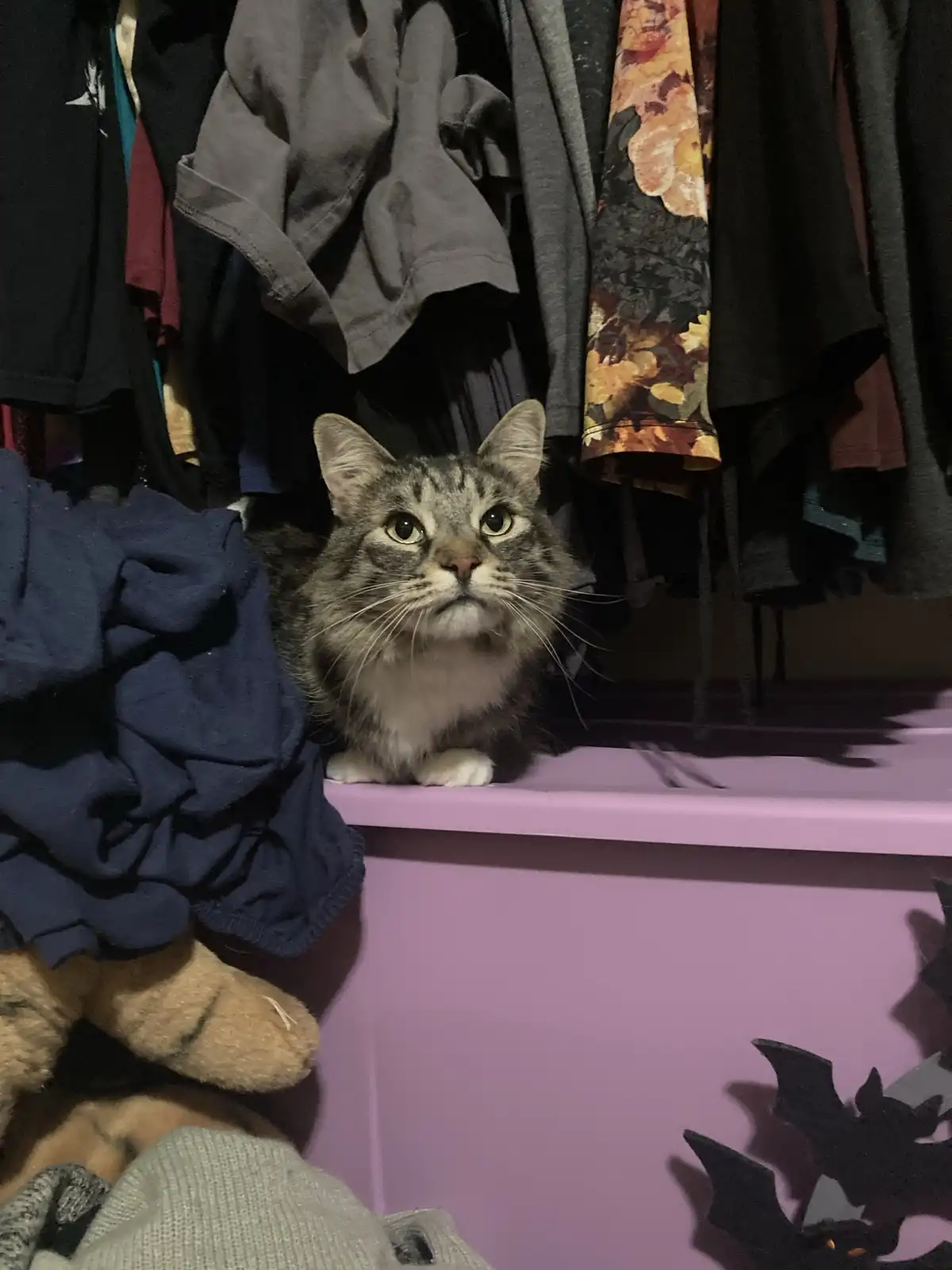 Dany's Secret Hideaway in the Closet