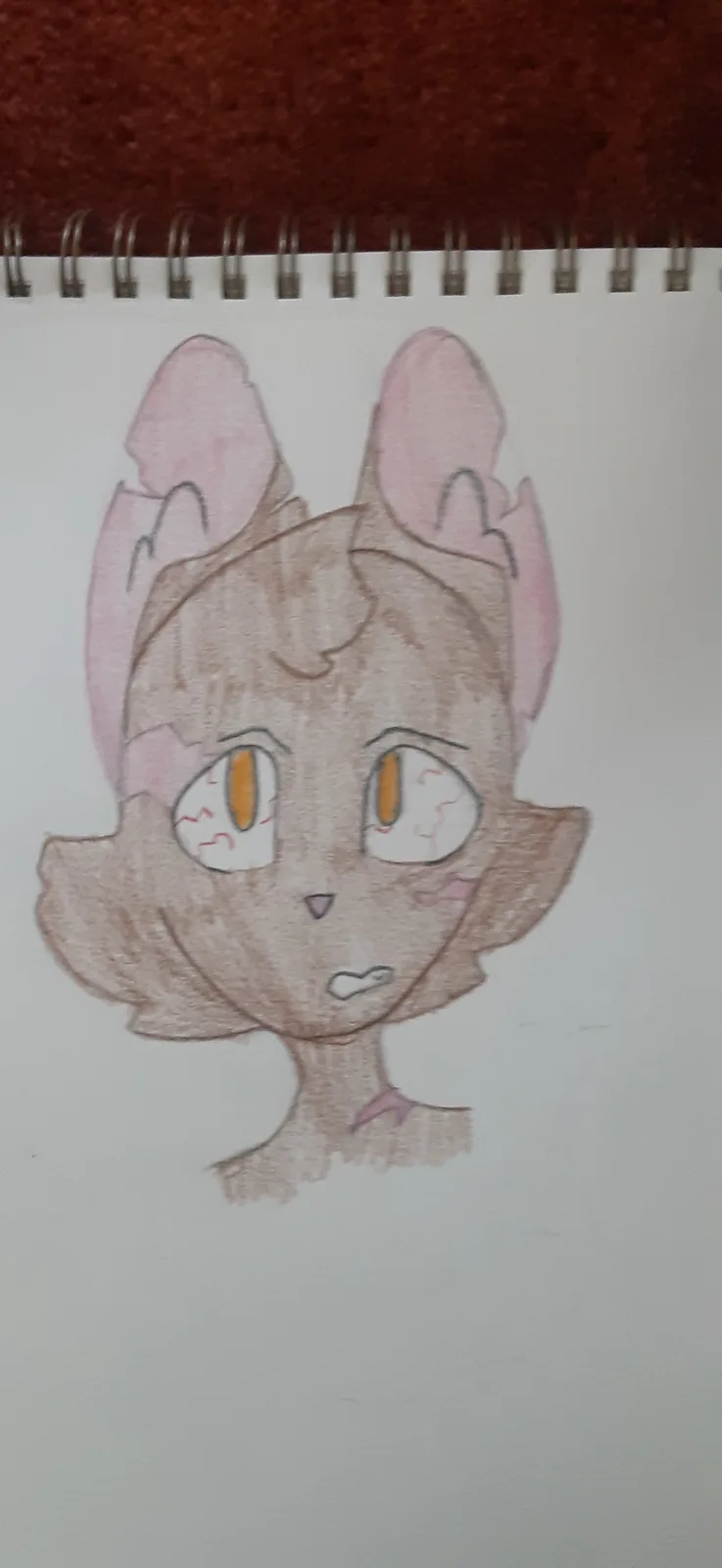 A hand-drawn cartoon cat with pink ears and orange eyes, drawn on a white spiral-bound notebook page. The cat has a slightly…