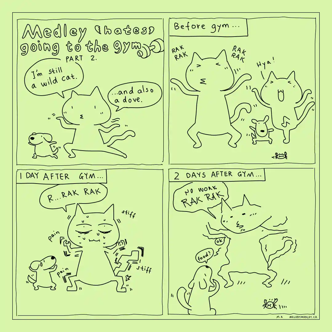 Medley’s Reluctant Gym Chronicles - Part 2