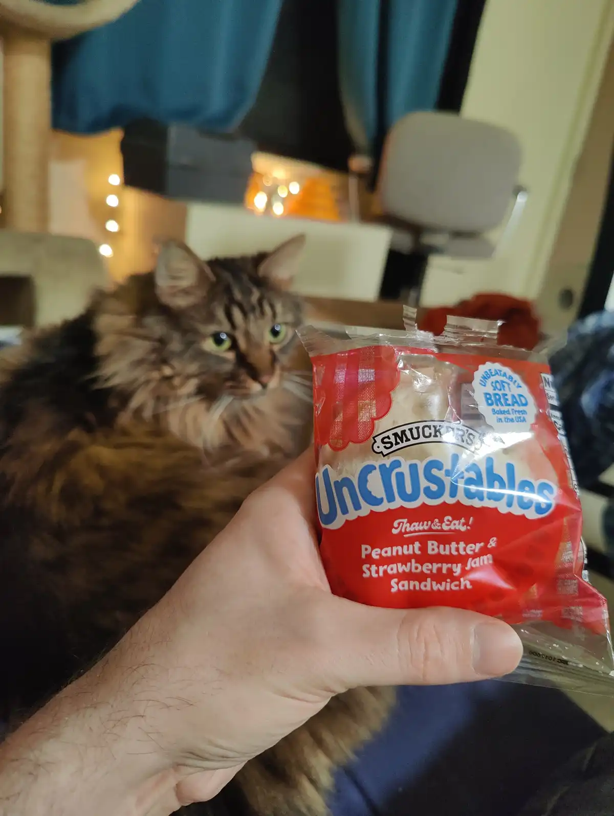 A person holds a red package of Smucker's Uncrustables Peanut Butter & Strawberry Jam Sandwich in front of a fluffy brown…