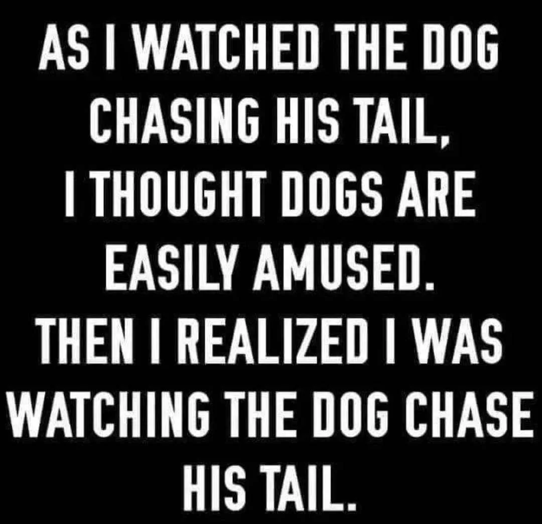 The image features bold white text on a solid black background. The text reads: 'AS I WATCHED THE DOG CHASING HIS TAIL, I…