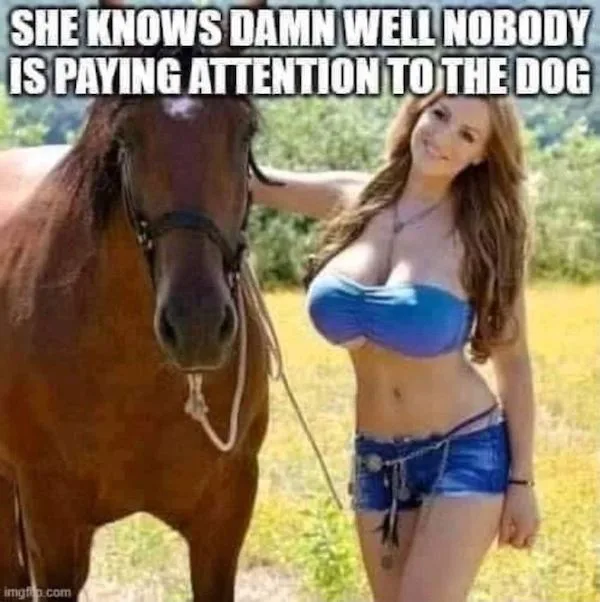 A woman in a blue bikini top and denim shorts stands next to a brown horse in a grassy field, smiling at the camera while…