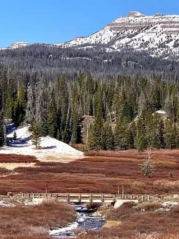 A serene landscape blanketed in pristine snow.