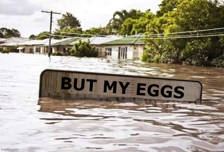 But What About My Eggs?