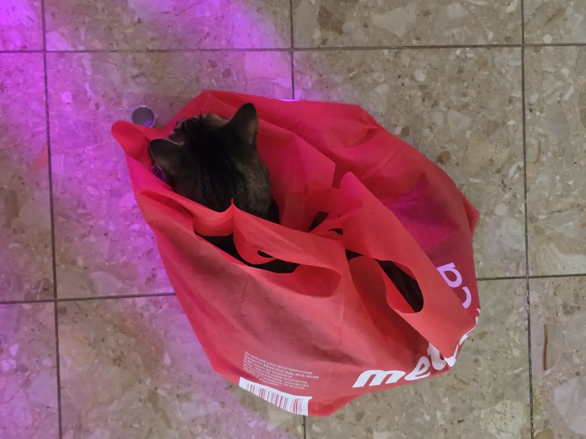 A dark-furred cat is curled up and sleeping inside a red reusable shopping bag on a tiled floor, with purple ambient…
