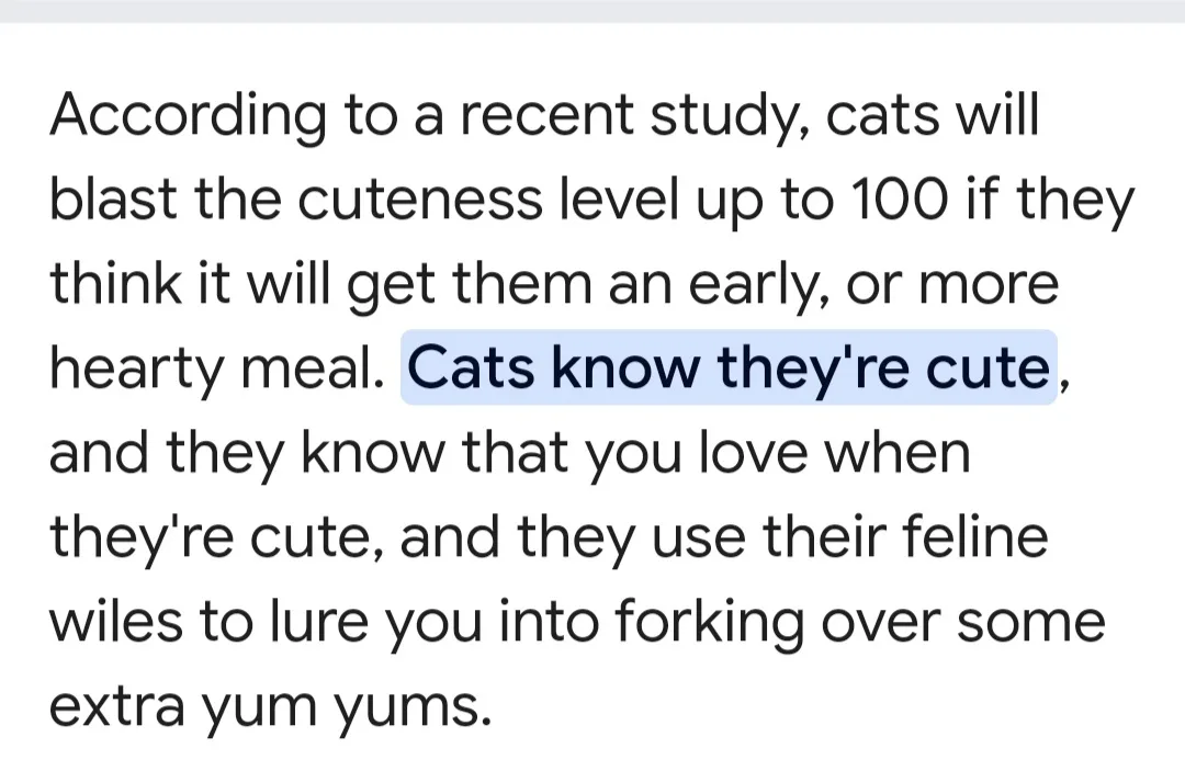 The image displays a block of black text on a white background, mimicking a study's findings about cats increasing their…