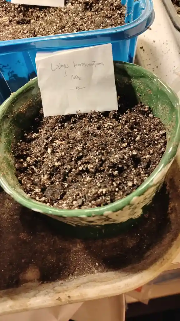 A close-up photo shows a green ceramic pot filled with dark, gritty soil mix, with a handwritten paper label stuck in the…