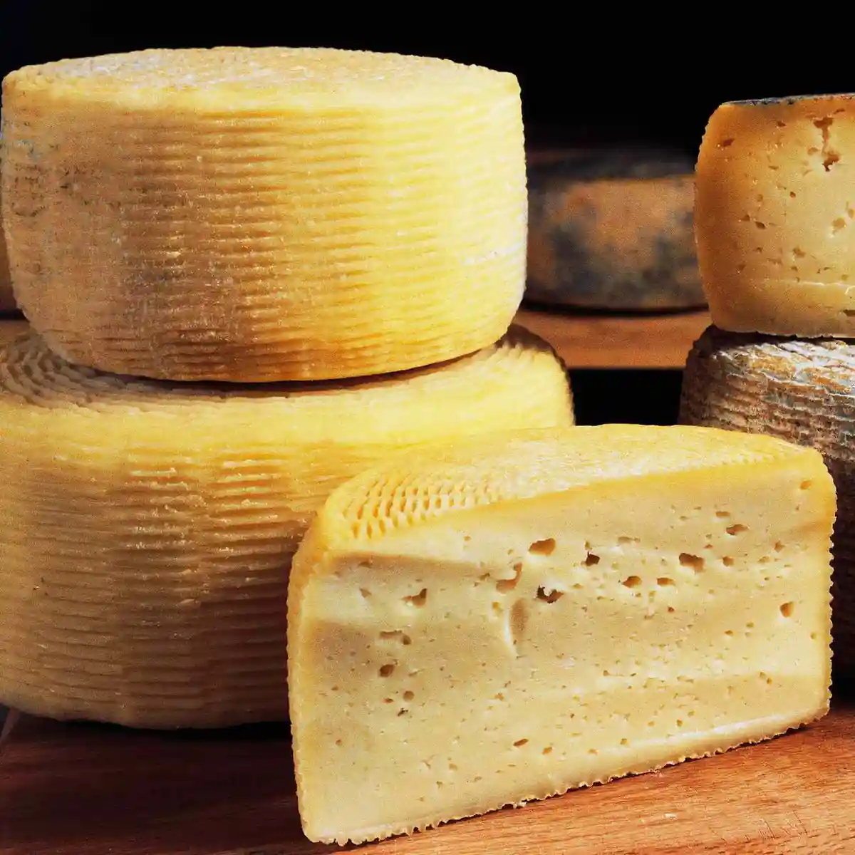 A close-up photograph of several large, round wheels of yellow cheese with textured rinds, one of which is cut to reveal a…