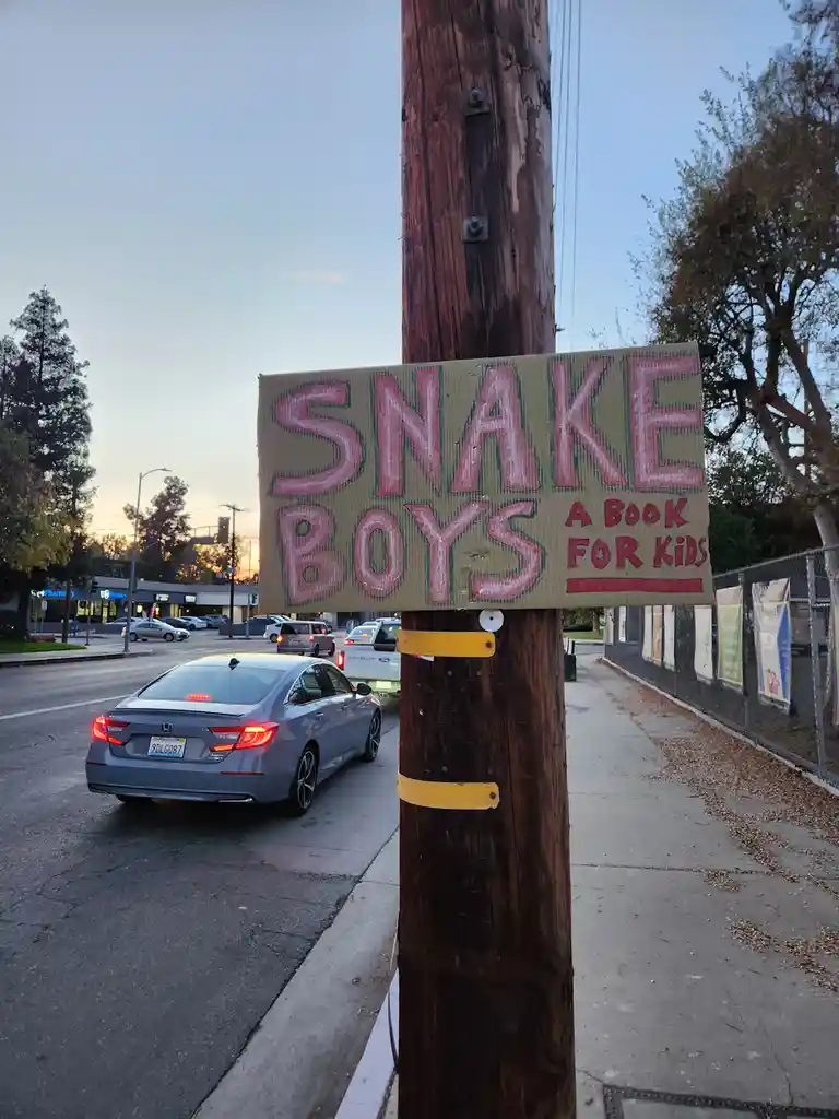 A handmade cardboard sign taped to a wooden utility pole reads 'SNAKE BOYS A BOOK FOR KIDS' in pink and red paint. The sign…