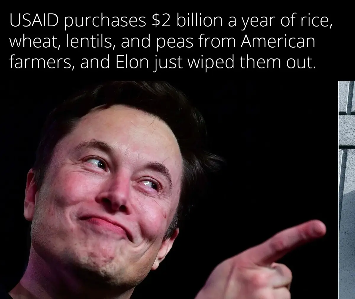 A close-up photo of Elon Musk smiling and pointing to the right, overlaid with white text stating 'USAID purchases $2…